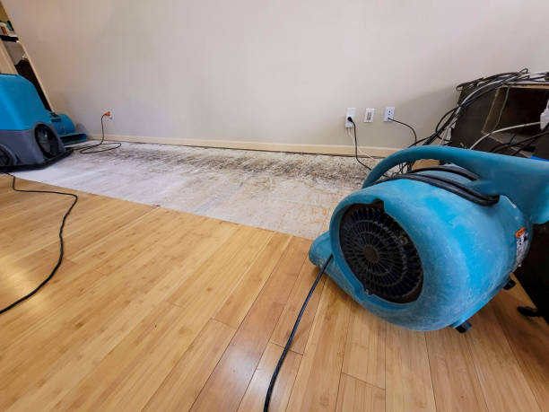 Professional Basement Flood Cleanup technician working in Elkhorn, WI